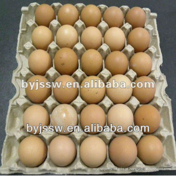 Caixa de ovos / bandeja de ovos / caixa de ovos
